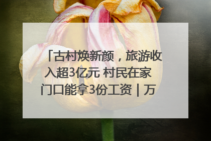 古村焕新颜，旅游收入超3亿元 村民在家门口能拿3份工资｜万千气象看四川